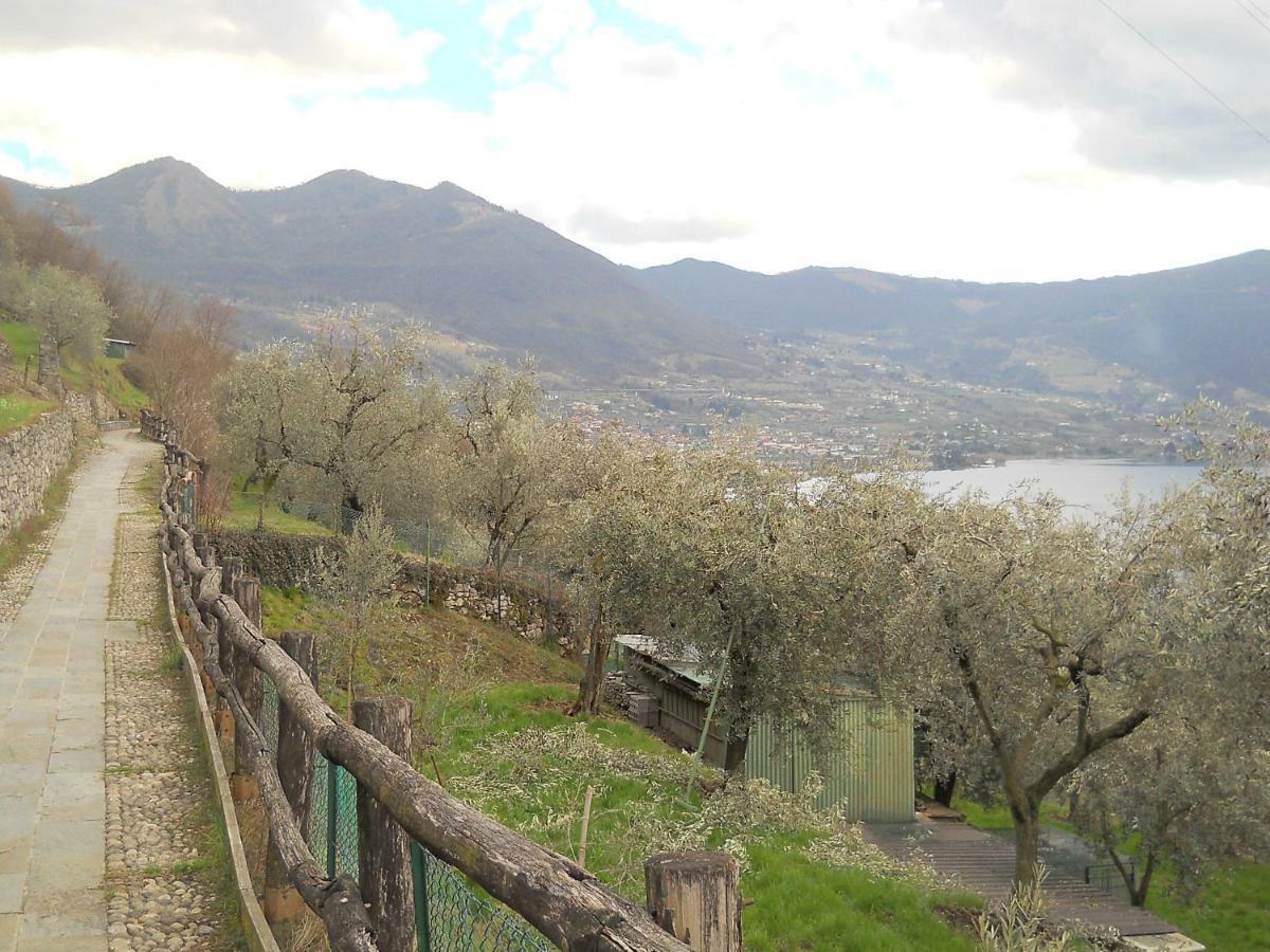 Appartamento Al Ponte 马罗内 外观 照片